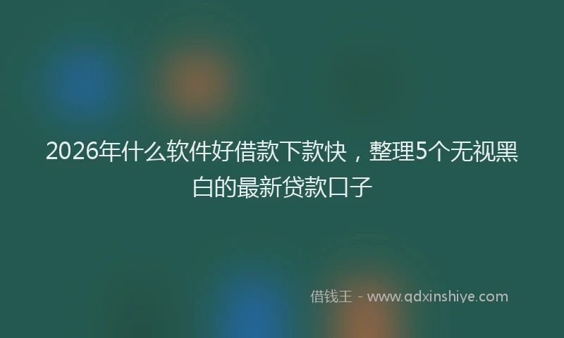 2026年什么软件好借款下款快，整理5个无视黑白的最新贷款口子