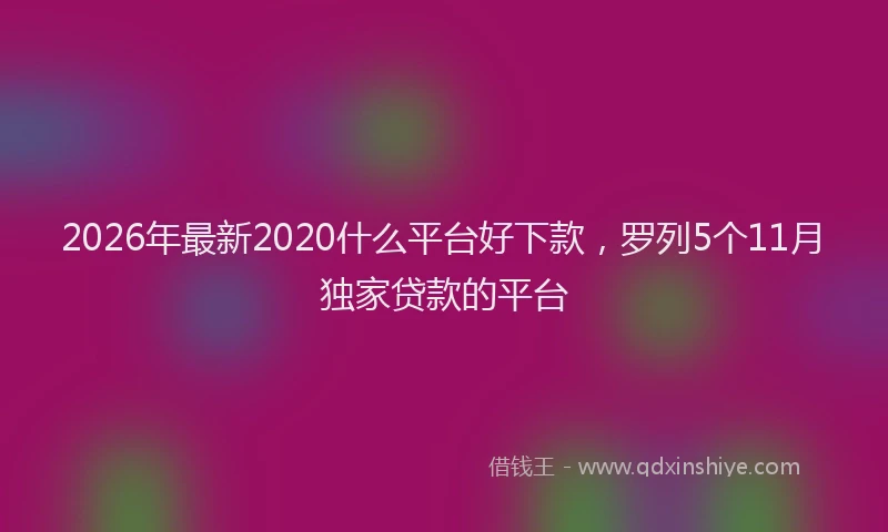 2026年最新2020什么平台好下款，罗列5个11月独家贷款的平台