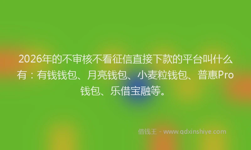 2026年的不审核不看征信直接下款的平台叫什么有：有钱钱包、月亮钱包、小麦粒钱包、普惠Pro钱包、乐借宝融等。