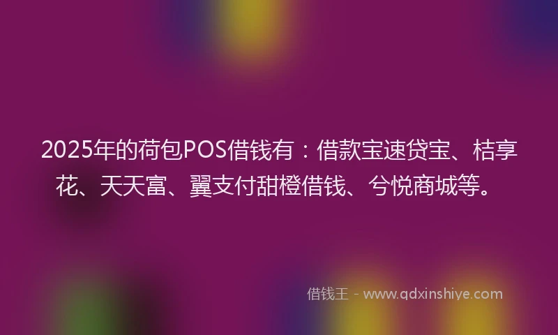 2025年的荷包POS借钱有：借款宝速贷宝、桔享花、天天富、翼支付甜橙借钱、兮悦商城等。