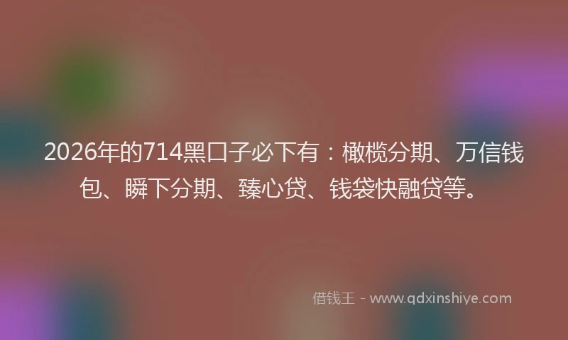 2026年的714黑口子必下有:橄榄分期、万信钱包、瞬下分期、臻心贷、钱袋快融贷等。
