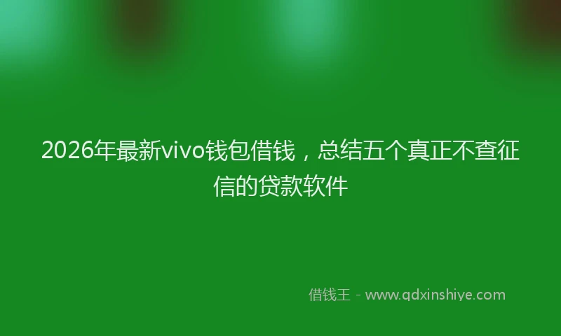 2026年最新vivo钱包借钱，总结五个真正不查征信的贷款软件