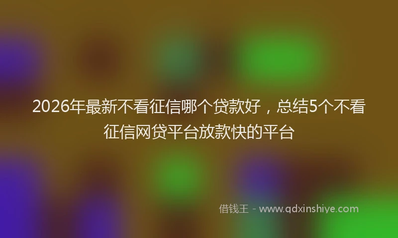 2026年最新不看征信哪个贷款好，总结5个不看征信网贷平台放款快的平台