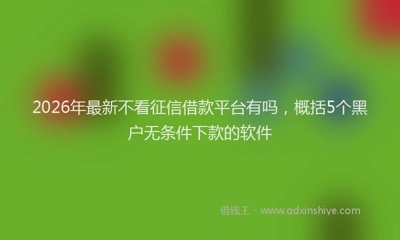 2026年最新不看征信借款平台有吗，概括5个黑户无条件下款的软件