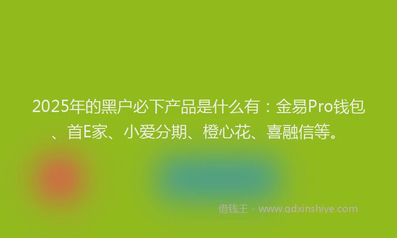 2025年的黑户必下产品是什么有：金易Pro钱包、首E家、小爱分期、橙心花、喜融信等。