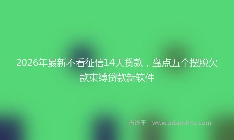 2026年最新不看征信14天贷款,盘点五个摆脱欠款束缚贷款新软件