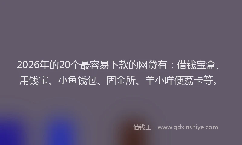 2026年的20个最容易下款的网贷有:借钱宝盒、用钱宝、小鱼钱包、固金所、羊小咩便荔卡等。