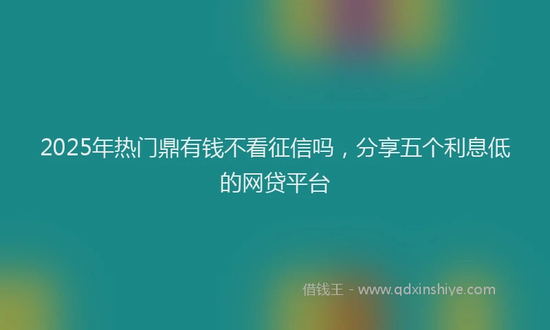 2025年热门鼎有钱不看征信吗，分享五个利息低的网贷平台