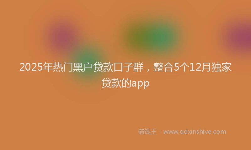 2025年热门黑户贷款口子群，整合5个12月独家贷款的app
