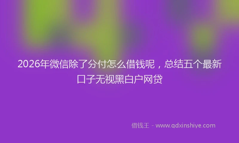 2026年微信除了分付怎么借钱呢，总结五个最新口子无视黑白户网贷