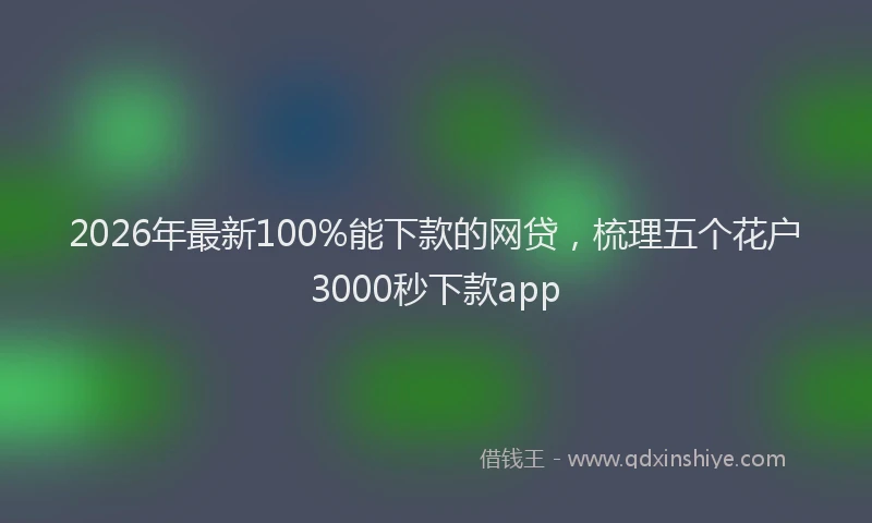 2026年最新100%能下款的网贷，梳理五个花户3000秒下款app