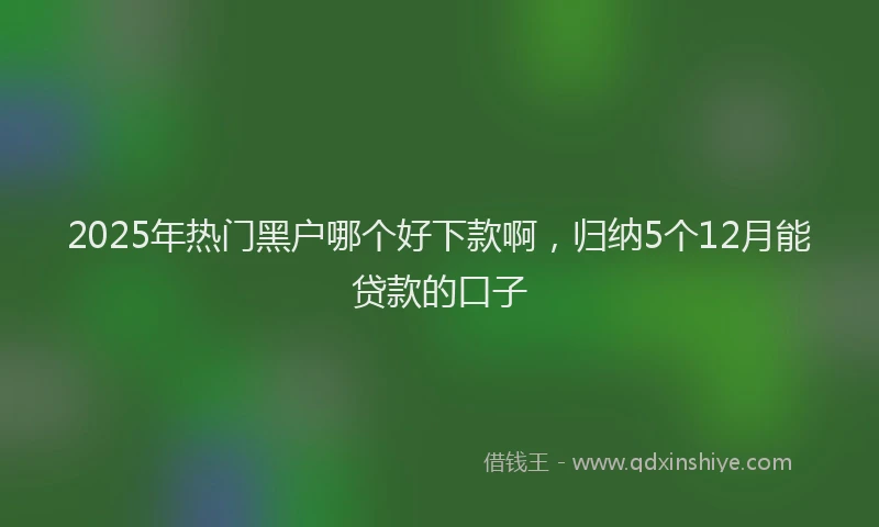 2025年热门黑户哪个好下款啊,归纳5个12月能贷款的口子