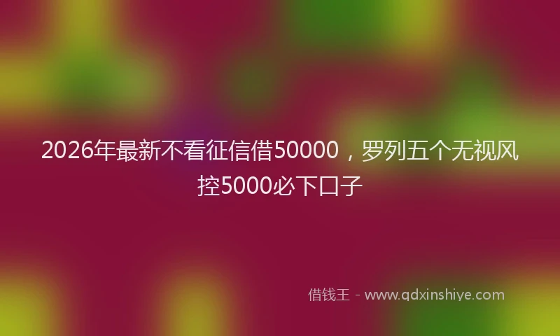 2026年最新不看征信借50000，罗列五个无视风控5000必下口子