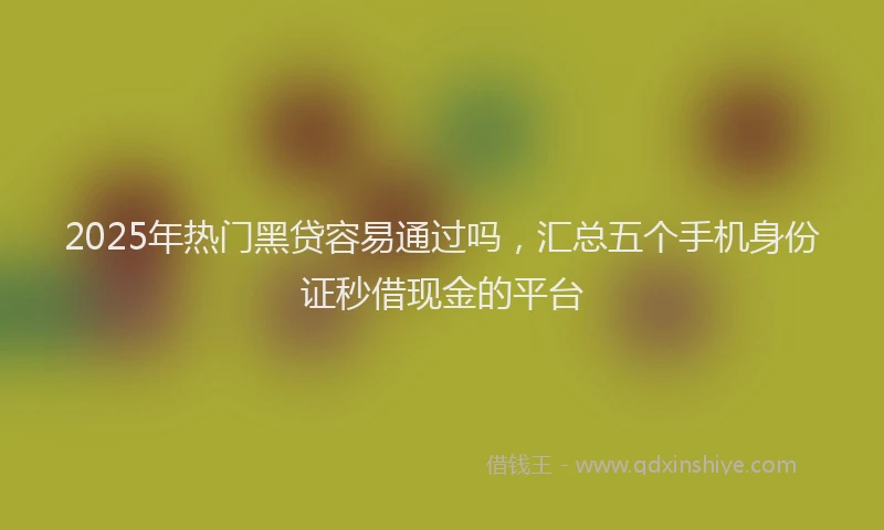 2025年热门黑贷容易通过吗,汇总五个手机身份证秒借现金的平台