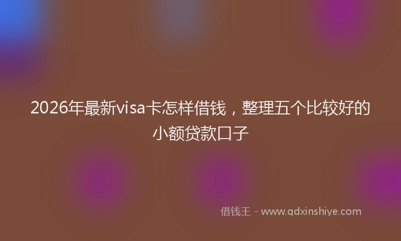 2026年最新visa卡怎样借钱，整理五个比较好的小额贷款口子