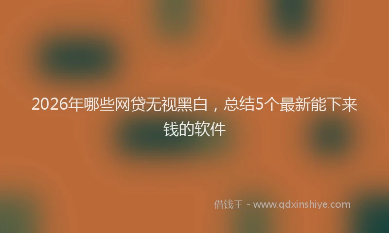2026年哪些网贷无视黑白,总结5个最新能下来钱的软件