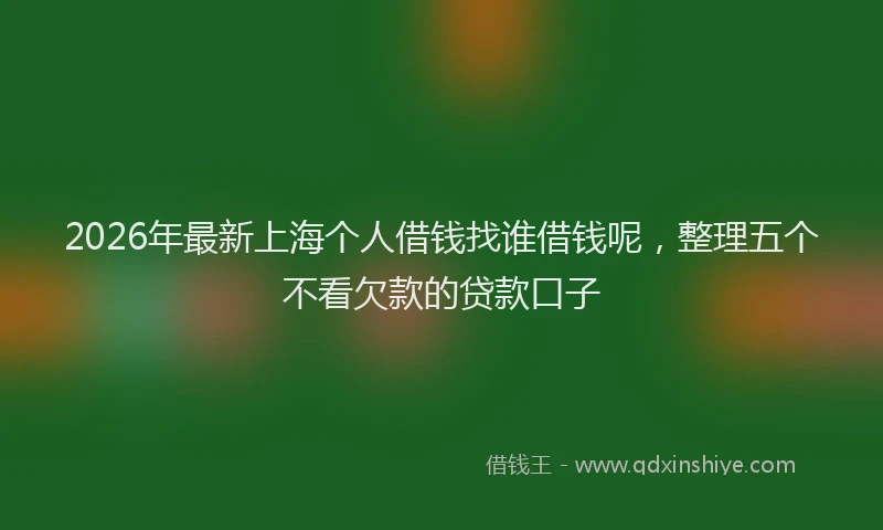 2026年最新上海个人借钱找谁借钱呢，整理五个不看欠款的贷款口子