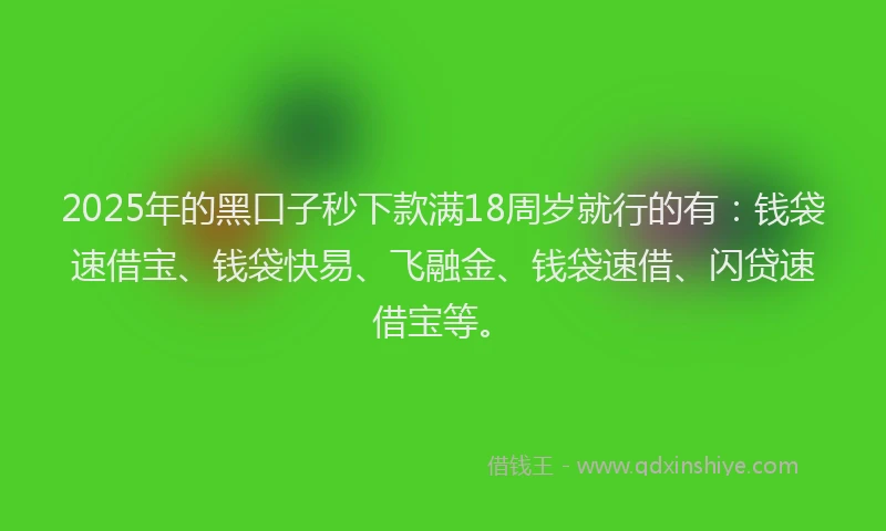 2025年的黑口子秒下款满18周岁就行的有:钱袋速借宝、钱袋快易、飞融金、钱袋速借、闪贷速借宝等。