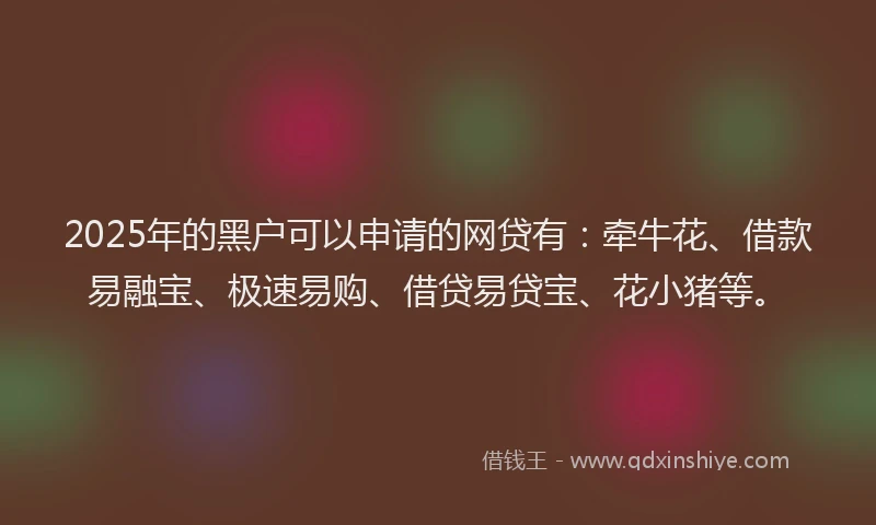 2025年的黑户可以申请的网贷有:牵牛花、借款易融宝、极速易购、借贷易贷宝、花小猪等。