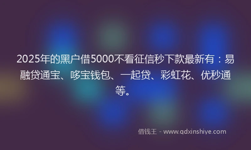 2025年的黑户借5000不看征信秒下款最新有:易融贷通宝、哆宝钱包、一起贷、彩虹花、优秒通等。