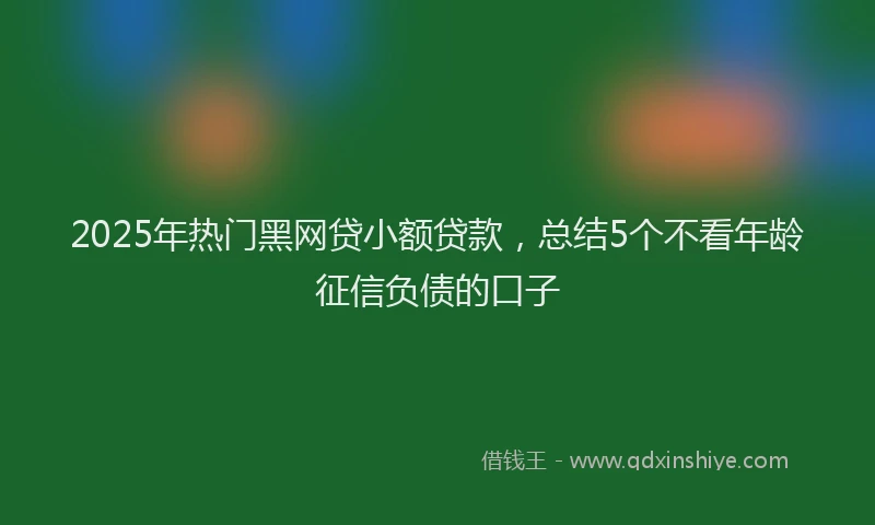 2025年热门黑网贷小额贷款，总结5个不看年龄征信负债的口子