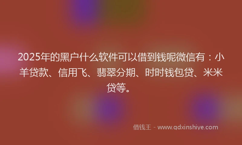 2025年的黑户什么软件可以借到钱呢微信有：小羊贷款、信用飞、翡翠分期、时时钱包贷、米米贷等。