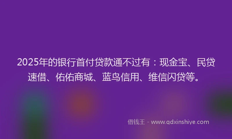 2025年的银行首付贷款通不过有：现金宝、民贷速借、佑佑商城、蓝鸟信用、维信闪贷等。