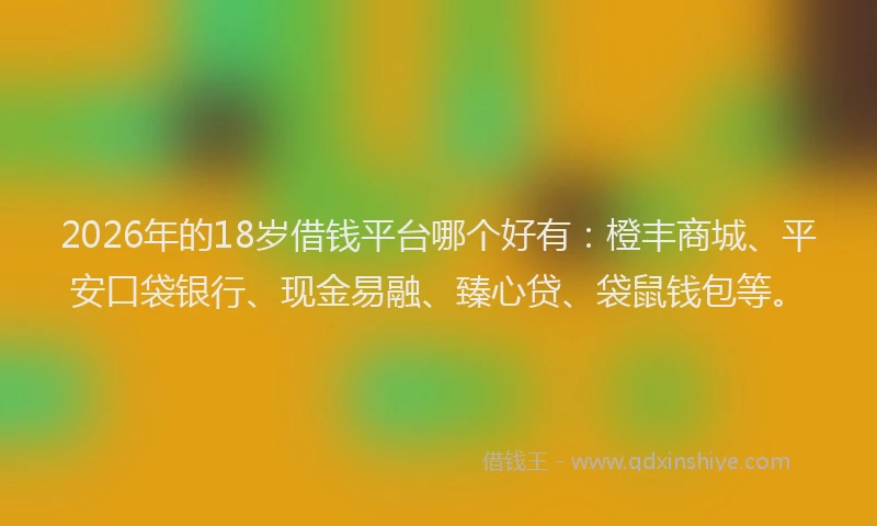 2026年的18岁借钱平台哪个好有:橙丰商城、平安口袋银行、现金易融、臻心贷、袋鼠钱包等。