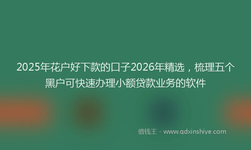 2025年花户好下款的口子2026年精选，梳理五个黑户可快速办理小额贷款业务的软件