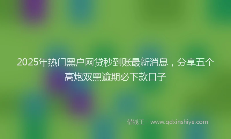 2025年热门黑户网贷秒到账最新消息，分享五个高炮双黑逾期必下款口子