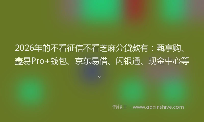 2026年的不看征信不看芝麻分贷款有:甄享购、鑫易Pro+钱包、京东易借、闪银通、现金中心等。