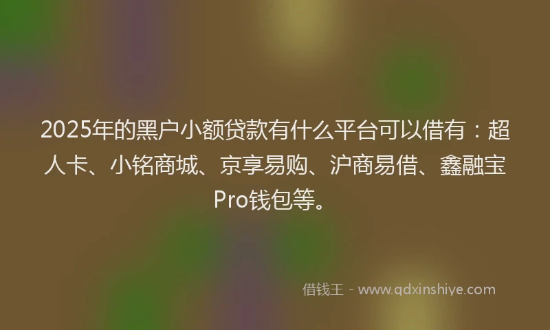 2025年的黑户小额贷款有什么平台可以借有：超人卡、小铭商城、京享易购、沪商易借、鑫融宝Pro钱包等。