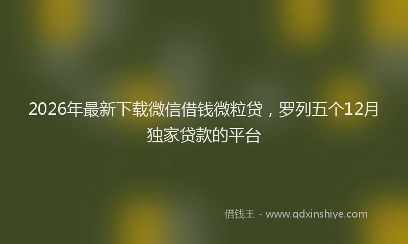 2026年最新下载微信借钱微粒贷,罗列五个12月独家贷款的平台