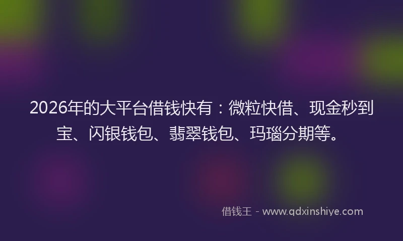 2026年的大平台借钱快有:微粒快借、现金秒到宝、闪银钱包、翡翠钱包、玛瑙分期等。