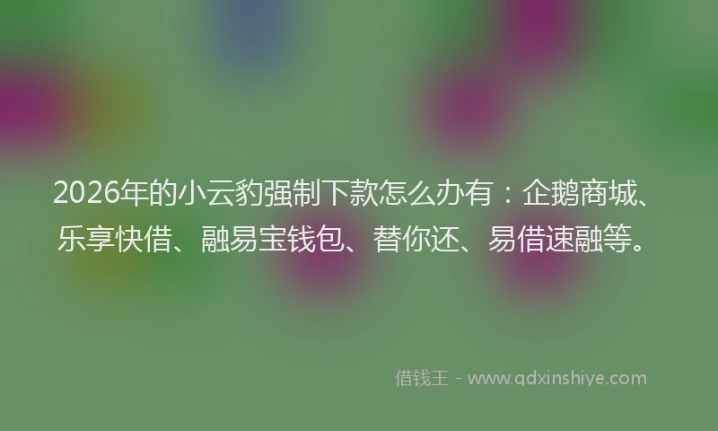 2026年的小云豹强制下款怎么办有:企鹅商城、乐享快借、融易宝钱包、替你还、易借速融等。