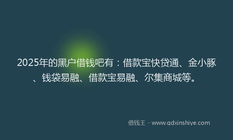 2025年的黑户借钱吧有：借款宝快贷通、金小豚、钱袋易融、借款宝易融、尔集商城等。
