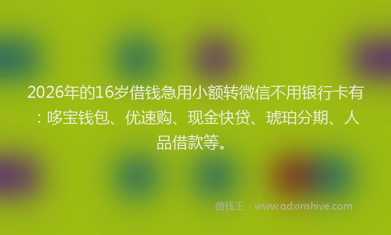 2026年的16岁借钱急用小额转微信不用银行卡有:哆宝钱包、优速购、现金快贷、琥珀分期、人品借款等。