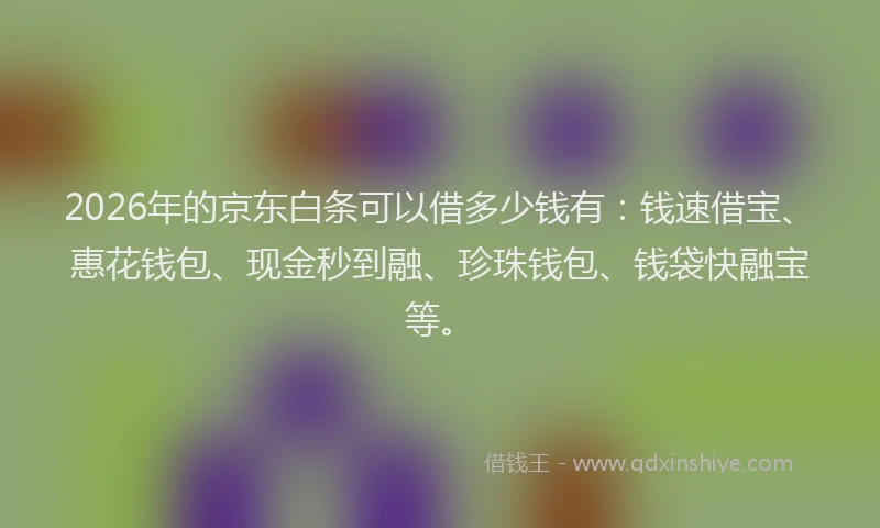 2026年的京东白条可以借多少钱有：钱速借宝、惠花钱包、现金秒到融、珍珠钱包、钱袋快融宝等。