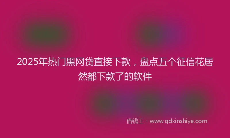 2025年热门黑网贷直接下款，盘点五个征信花居然都下款了的软件