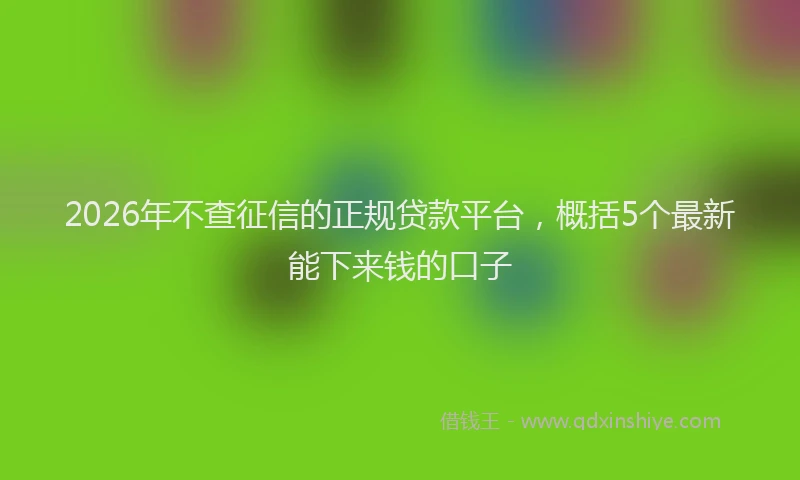 2026年不查征信的正规贷款平台，概括5个最新能下来钱的口子