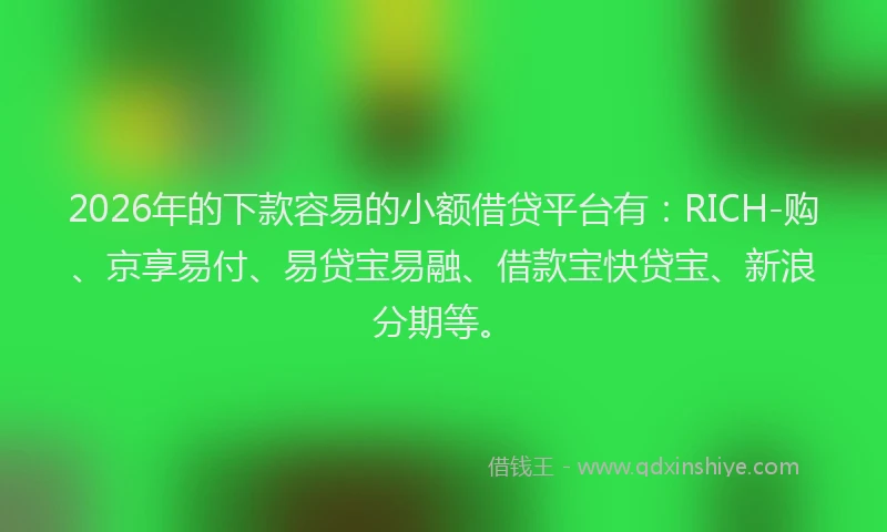 2026年的下款容易的小额借贷平台有：RICH-购、京享易付、易贷宝易融、借款宝快贷宝、新浪分期等。