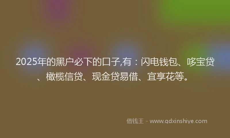 2025年的黑户必下的口子,有：闪电钱包、哆宝贷、橄榄信贷、现金贷易借、宜享花等。