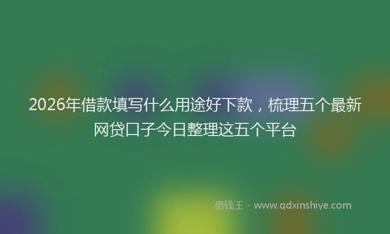 2026年借款填写什么用途好下款，梳理五个最新网贷口子今日整理这五个平台