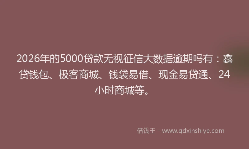 2026年的5000贷款无视征信大数据逾期吗有:鑫贷钱包、极客商城、钱袋易借、现金易贷通、24小时商城等。