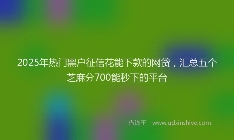 2025年热门黑户征信花能下款的网贷,汇总五个芝麻分700能秒下的平台