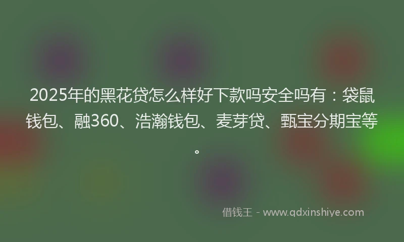 2025年的黑花贷怎么样好下款吗安全吗有：袋鼠钱包、融360、浩瀚钱包、麦芽贷、甄宝分期宝等。