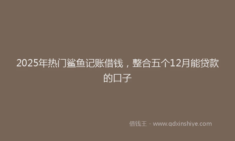 2025年热门鲨鱼记账借钱,整合五个12月能贷款的口子