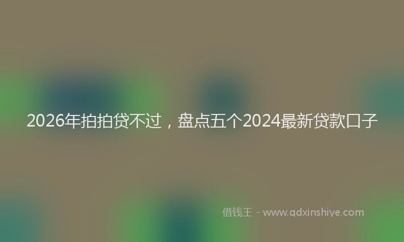 2026年拍拍贷不过，盘点五个2024最新贷款口子