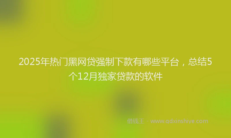 2025年热门黑网贷强制下款有哪些平台，总结5个12月独家贷款的软件