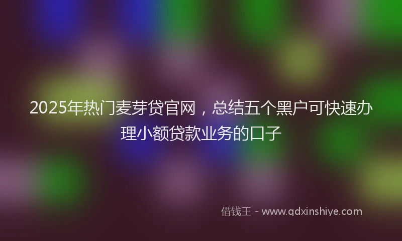 2025年热门麦芽贷官网，总结五个黑户可快速办理小额贷款业务的口子